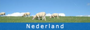 Nederland kampeervakanties